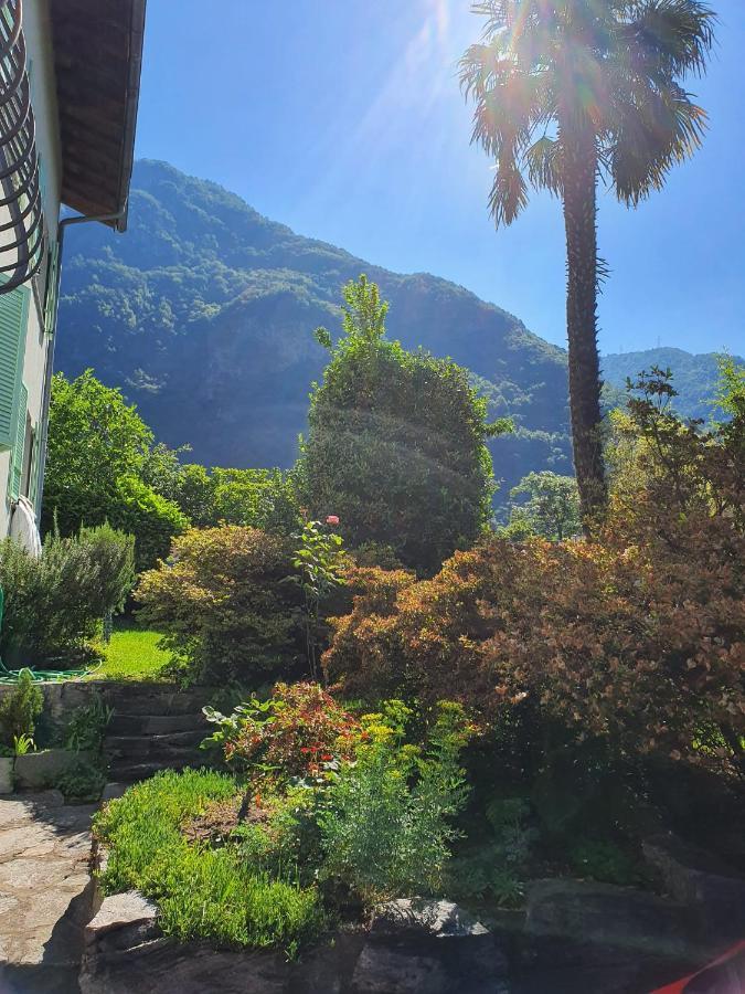 Apartamento La Pergola Avegno Exterior foto